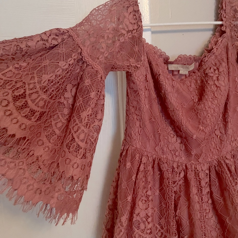 Vintage Anthropologie Champagne & Strawberries Lace Corset Vintage style Dress